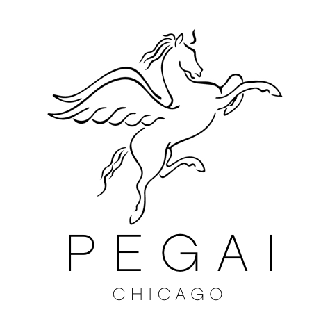 PEGAI by Tanner Leatherstein